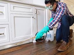 Best Real Estate Pest Inspections  in Cranford, NJ